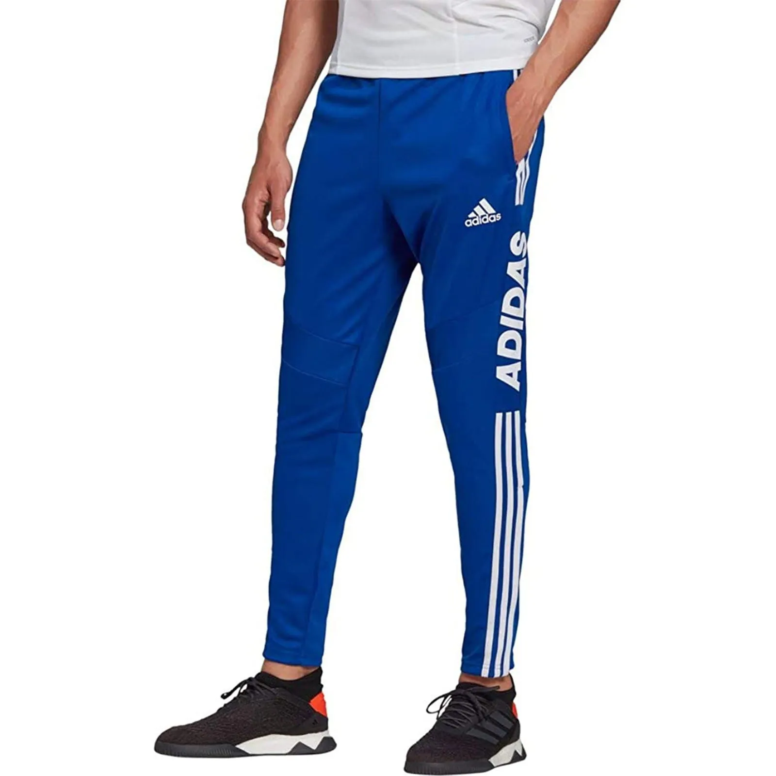 adidas Training Trousers Linear Tiro 19 - Blue