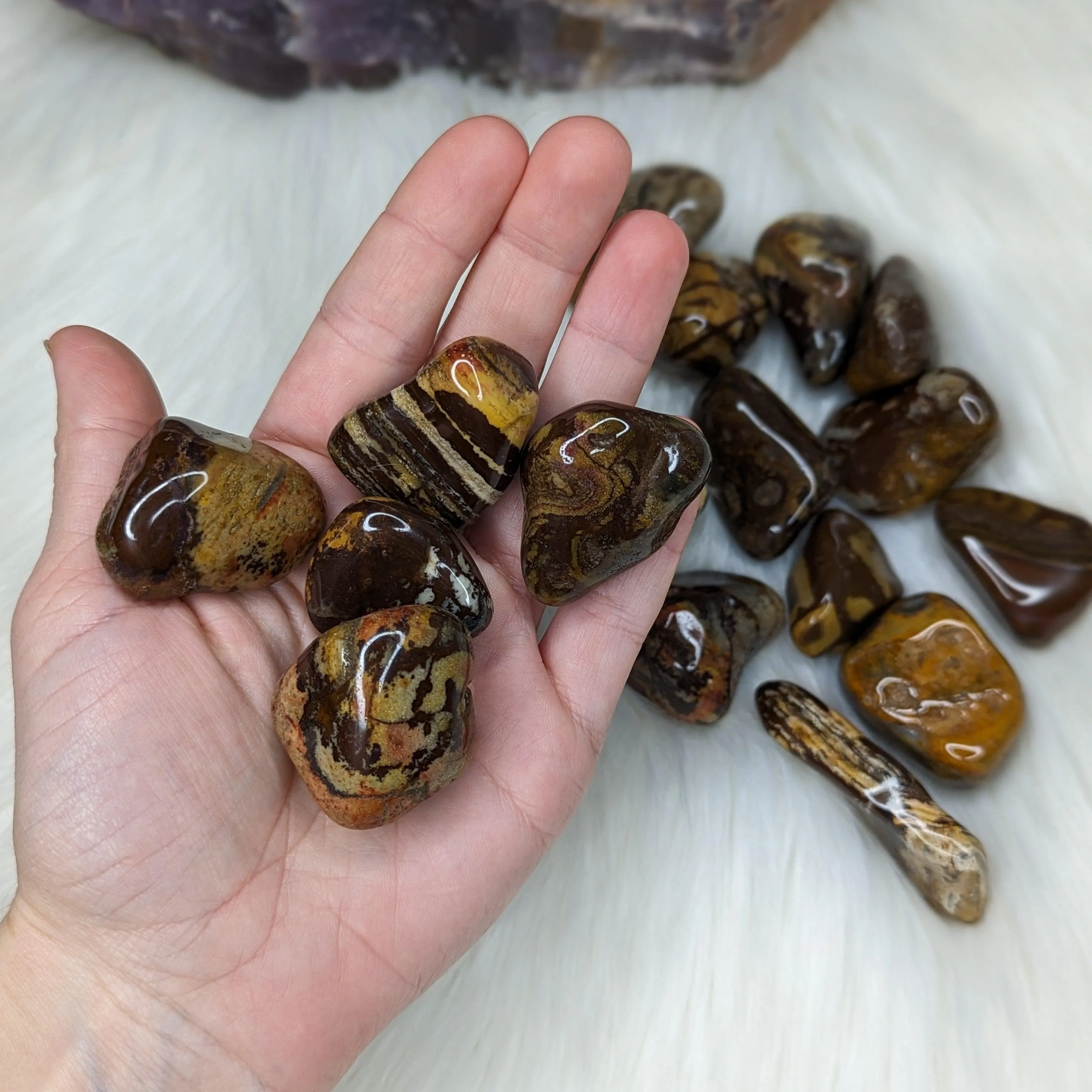 Nguni Jasper Set of 5 Tumbled Stones~ Local : South Africa