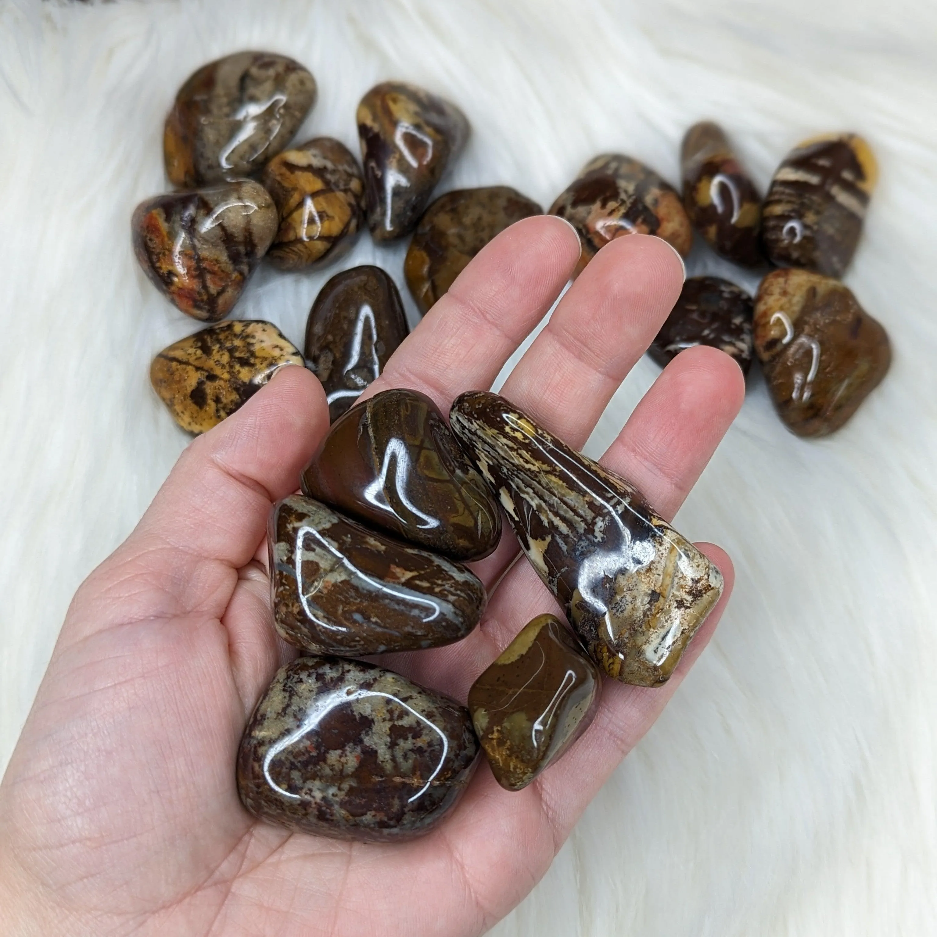 Nguni Jasper Set of 5 Tumbled Stones~ Local : South Africa