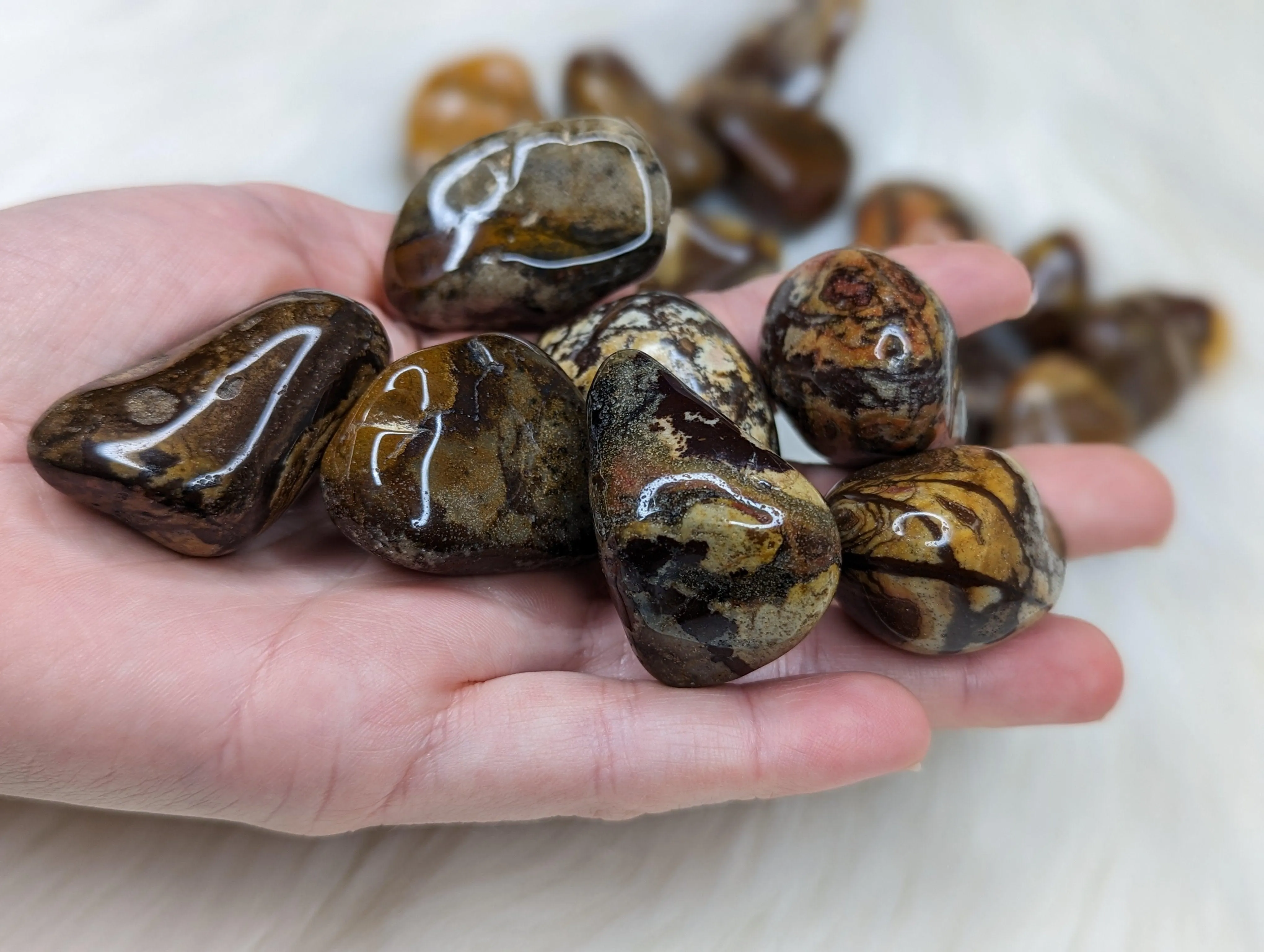 Nguni Jasper Set of 5 Tumbled Stones~ Local : South Africa