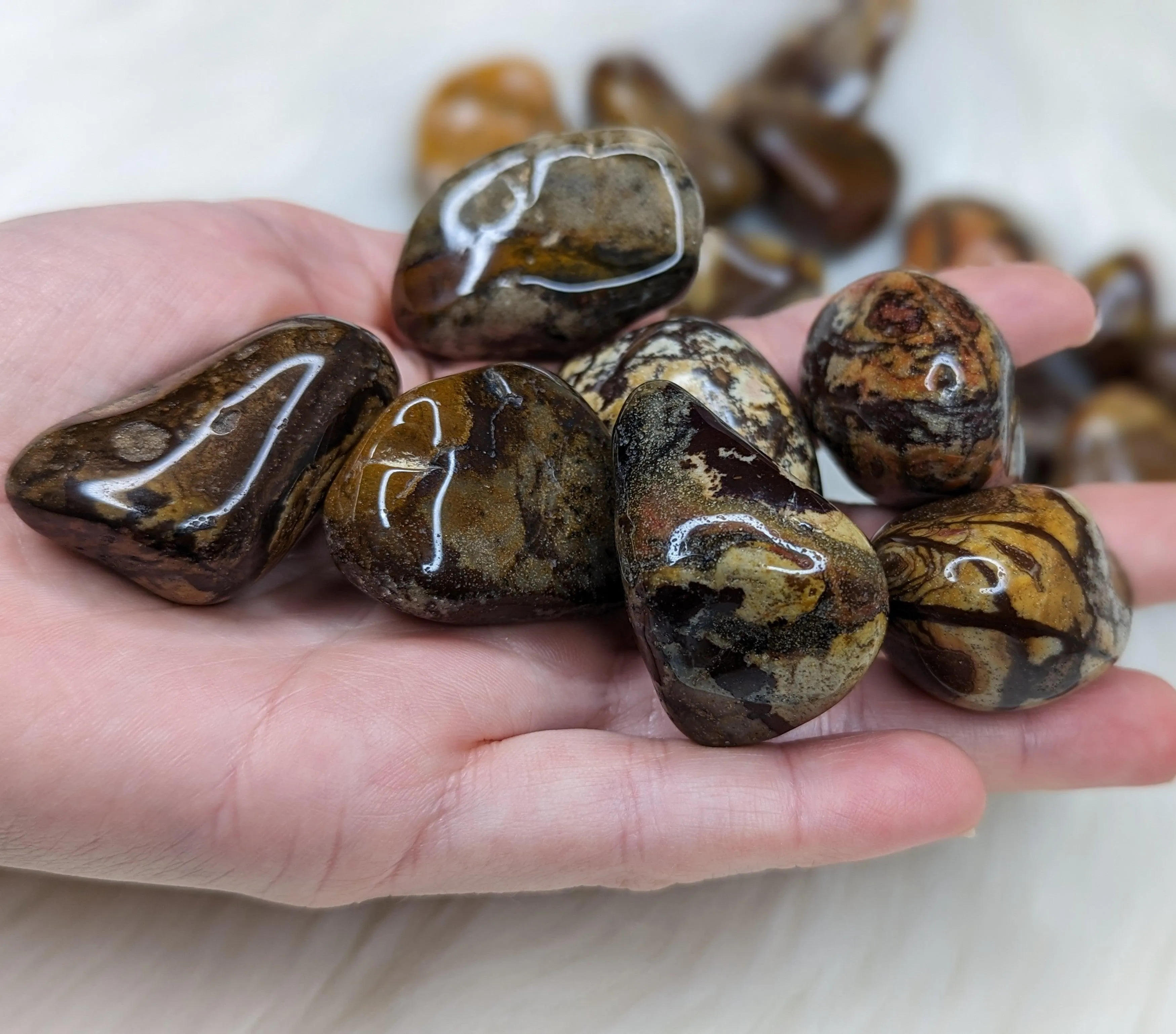 Nguni Jasper Set of 5 Tumbled Stones~ Local : South Africa