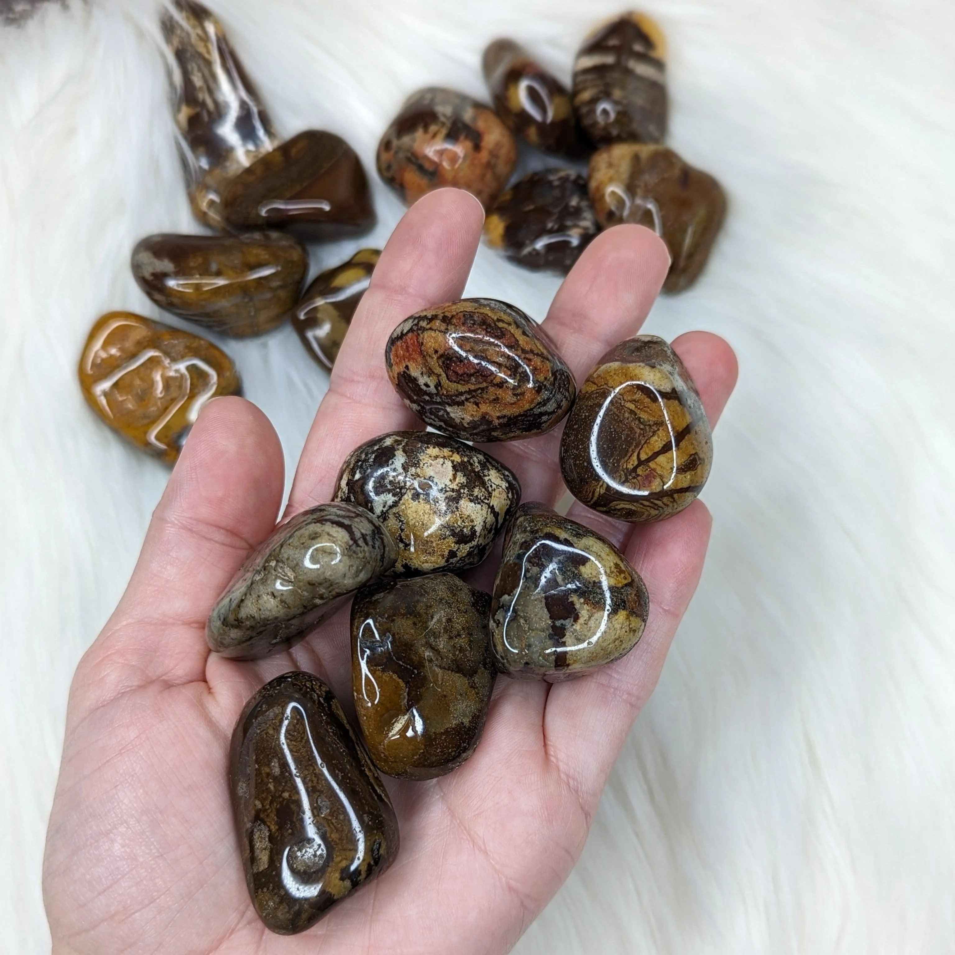 Nguni Jasper Set of 5 Tumbled Stones~ Local : South Africa