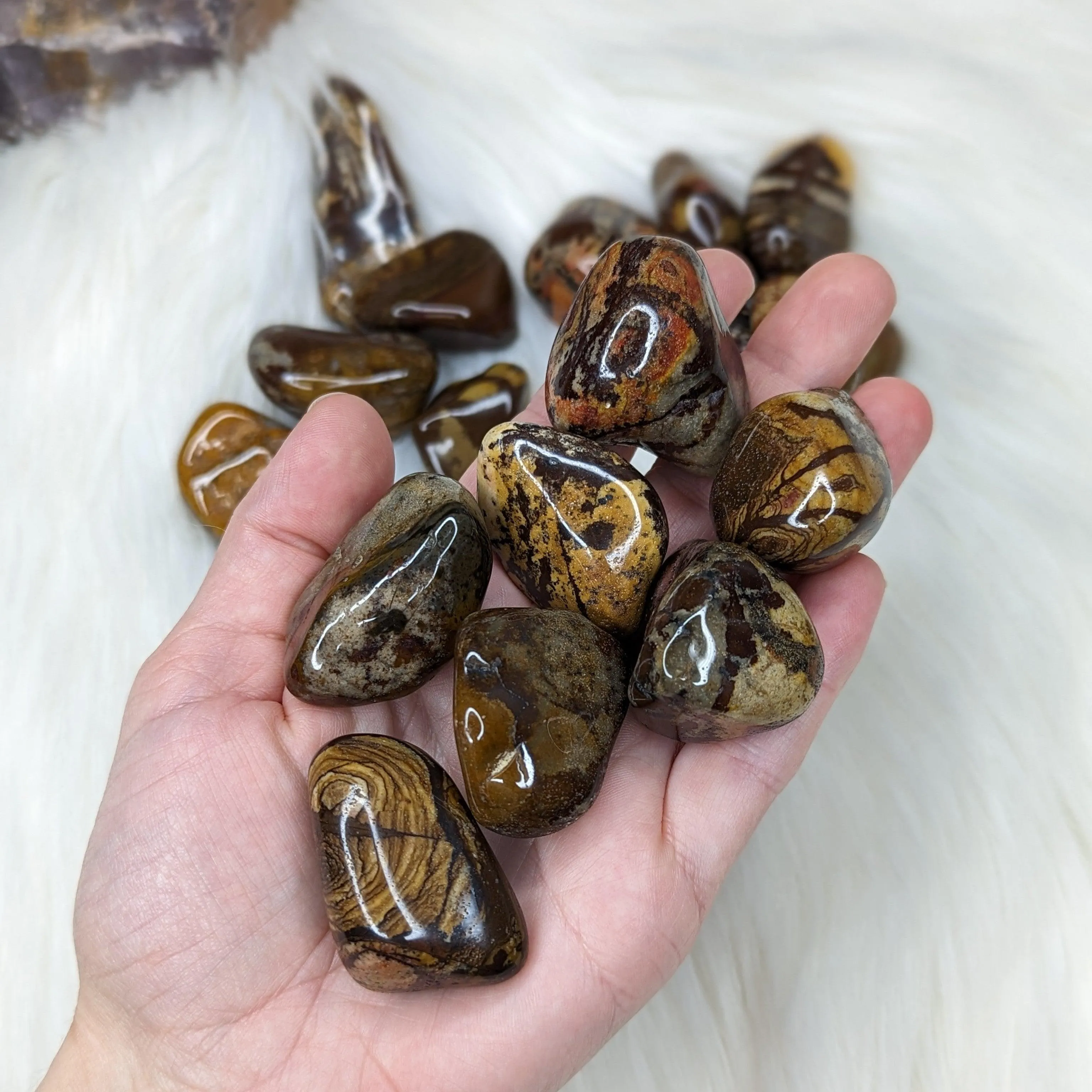 Nguni Jasper Set of 5 Tumbled Stones~ Local : South Africa